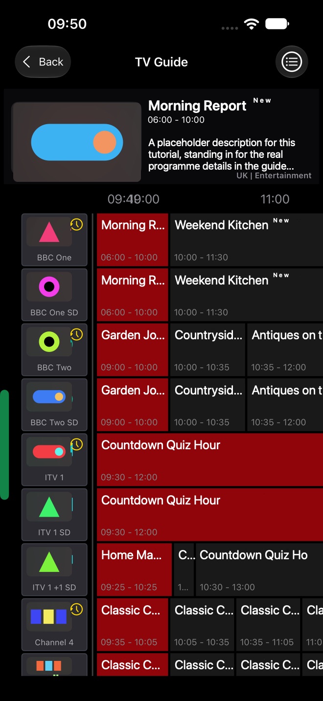 Live TV EPG View with the selected programme at the top and a programme grid by channel.